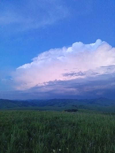 The image depicts a landscape scene under a twilight sky. The sky is a deep blue with a large, dramatic cloud formation dominating the upper portion. This cloud is illuminated by a soft, pinkish glow on its left side, transitioning to darker, purplish hues on the right.
Below the sky, rolling hills covered in lush green grass stretch into the distance. The foreground is a dense field of tall green grass, appearing somewhat overgrown. In the mid-ground, a cluster of dark green trees is visible on one of the hills. The overall atmosphere suggests a natural, rural environment. There are no people, animals, or man-made structures visible in the image, other than the distant trees that could be a small grove. The location is identified as Sadovyi, Russia.