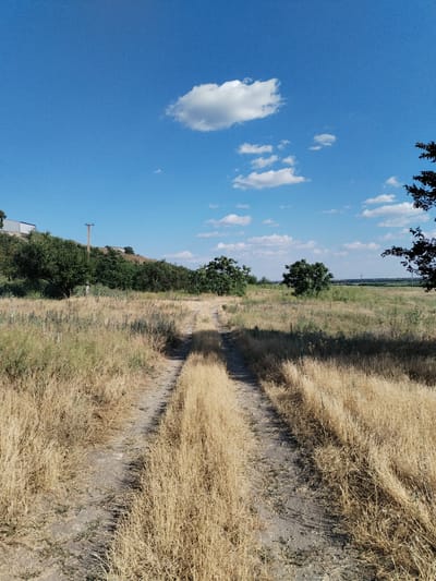 A dirt road cuts through a dry, grassy field under a bright blue sky with scattered white clouds. On the left side of the road, a cluster of trees grows on a gentle slope, and further up the slope, there are buildings and a utility pole. In the distance, more trees and fields are visible, with a very faint horizon line. The overall scene depicts a rural landscape.
