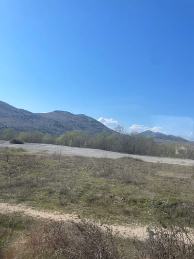 This image displays a rural landscape in Goričani, Montenegro, under a clear blue sky. The upper portion of the frame is dominated by an uninterrupted expanse of blue, with a few small white cumulus clouds visible along the distant horizon to the right. A range of rocky, sparsely vegetated hills forms the background, appearing light gray and brown. In the mid-ground, a band of deciduous trees shows varying stages of early spring growth, with some exhibiting light green foliage and others remaining bare. Immediately in front of this treeline, a broad, light-colored area of ground, consistent with bare earth or gravel, stretches across the scene. The foreground consists primarily of dry, light brown grasses and dormant, thorny shrubs. A light brown dirt path or track is visible in the lower-center and lower-right portions of the foreground. No human figures, animals, or artificial structures are present. The scene is illuminated by natural sunlight, suggesting a clear day.