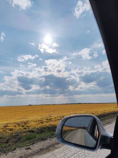 The scene depicts a rural landscape near Sofronievo, Bulgaria, viewed from the interior of a vehicle. A bright sun is visible in a blue sky, partially obscured by scattered white and grey clouds, with visible crepuscular rays descending towards the horizon. An expansive field of golden-yellow, possibly harvested or drying crops, dominates the midground, stretching to a distant, flat horizon line where a sparse treeline is discernible. A dirt or gravel road, with visible cracks, runs along the left foreground, bordered by green vegetation. A dark vehicle pillar or frame is present on the far right. A silver-grey vehicle side mirror in the lower right quadrant reflects the road receding behind the vehicle, showing a glimpse of the vehicle's rear window and the faint outline of a passenger's arm.
