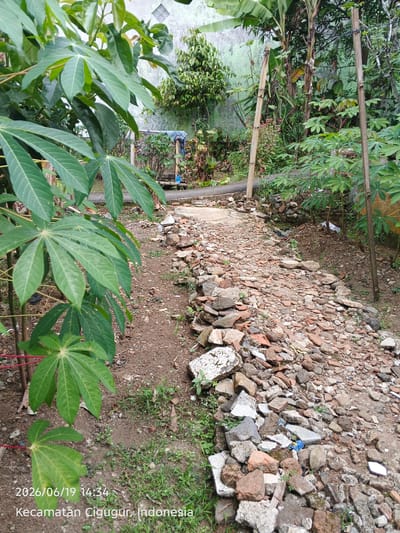 This media file captures an outdoor scene in Cigadung, Indonesia, on June 19, 2026, at 14:34. The setting appears to be a somewhat overgrown pathway or yard surrounded by lush vegetation. Prominently featured in the foreground are large, leafy green plants, possibly cassava, with their distinctive palmate leaves.

The pathway itself is uneven and constructed from a mixture of gravel, small stones, and broken pieces of tile and brick, indicating a rustic or perhaps unfinished construction. Some larger stones have been placed along the edge of the path, acting as a rough border. In the background, there are more plants, including what appear to be banana trees and other tropical foliage. A textured, light-colored wall, possibly the side of a building, is visible behind the vegetation. Two bamboo poles are propped up in the scene, possibly for support or as part of a rudimentary structure.

The lighting suggests it is daytime, likely afternoon, given the timestamp. The overall impression is one of a natural, slightly wild environment, possibly a backyard or a path leading through a garden in a rural or semi-rural area of Indonesia. The image lacks any people or overt activities, focusing instead on the natural elements and the path. The visible text on the image confirms the date and location.