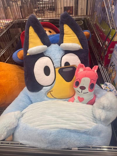 The image shows a shelf in what appears to be a store, possibly in Welshpool, United Kingdom (as suggested by OCR). On the shelf, there are several plush toys. The most prominent is a large Bluey plush toy. Next to Bluey is a smaller, pink plush toy with a white face and dark spots around the eyes. Other plush toys are partially visible behind Bluey, including one in orange. There are boxes stacked on shelves above the plush toys. The shelves are wire racks.