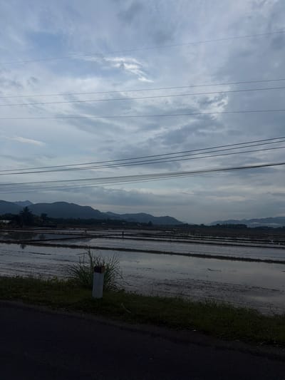 The image depicts a wide view of cultivated rice paddies under a cloudy sky, likely at dawn or dusk. The paddies are flooded and leveled, reflecting the sky and surrounding landscape. In the mid-ground, several figures are visible working in the fields, suggesting agricultural activity. A line of dark, silhouetted mountains forms the horizon, and some trees and buildings are scattered along the base of the mountains. In the foreground, a paved road runs along the edge of the paddies, with a short, white marker post and some green grass and weeds. Overhead, several power lines stretch across the sky. The overall scene suggests a rural setting in Diên Lạc, Vietnam.