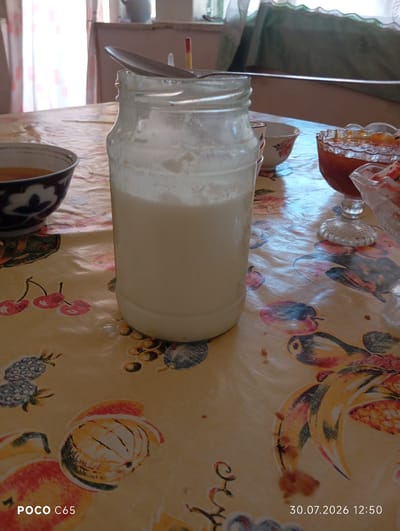 In Beruniy, Uzbekistan, a close-up shot captures a domestic scene on a table covered with a yellow tablecloth patterned with fruits. In the foreground, a glass jar filled with a white liquid, possibly yogurt or milk, stands prominently. A spoon rests on the rim of the jar, suggesting recent use. To the left, a bowl with a dark, intricate pattern contains an amber-colored liquid, likely tea or juice. Further to the right, a small glass bowl holds a vibrant orange jam, and another small glass dish contains a salad mixture with red and white components. In the background, a window with sheer curtains allows diffused light into the room, illuminating a windowsill with ceramic containers. The overall impression is one of a simple breakfast or snack setting.
