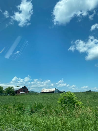 The image depicts a rural landscape under a bright blue sky with scattered white clouds. In the foreground, a field of tall green grass dominates the scene, with some smaller plants and flowers interspersed. A bush with vibrant green leaves is visible in the mid-ground, positioned to the right of center.
Further back, two barns are situated in the field. The barn on the left is red with a silver roof and appears to be in good condition, with visible windows and doors. To the right of the red barn is a gray barn with a rusted, corrugated metal roof. A hill with trees can be seen in the distance behind the barns. The overall environment suggests a countryside setting, likely on a clear, sunny day.
There are no people or animals visible in the image. The image appears to be taken from a moving vehicle, as evidenced by the reflections on the upper portion of the frame, which show streaks and patterns consistent with looking through a window.
While the image is not specifically identifiable as being located in Saint-André-Avellin, Canada, the presence of barns, rolling hills, and agricultural fields is consistent with the rural character of areas within Quebec, Canada, where Saint-André-Avellin is located.