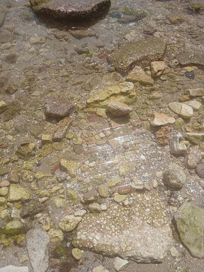 This image shows a shallow body of water with a sandy and rocky bottom. The subjects are the rocks, shells, and sand submerged in the clear water. There are various sizes and shapes of rocks, some are smooth and rounded, while others are rough and jagged. Many are light brown, tan, or white, with some having patches of green algae. Small white and tan shells are scattered amongst the rocks and sand. The water is calm, with ripples reflecting the sunlight, creating bright streaks of light across the scene. The overall setting appears to be a natural environment, likely a beach or a shallow riverbed. The sunlight suggests it is daytime, and the clarity of the water implies fair weather. There is no visible text in the image.