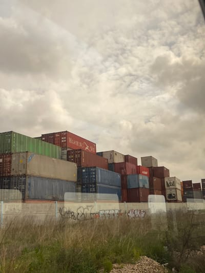 The scene depicts a large-scale storage facility for intermodal shipping containers in Quart de Poblet, Spain, under an overcast sky. Numerous containers of various colors, including green, red, blue, brown, and white, are stacked irregularly, forming a multi-tiered structure extending horizontally across the mid-ground and reaching several stories high. A prominent red container on the left bears the "HAMBURG SÜD" logo. A concrete retaining wall, marked with black and white graffiti, runs across the lower mid-ground. The foreground consists of dry, unmanaged vegetation, primarily tall grasses and weeds, with a patch of gravel and sparse, bare branches visible on the right. Faint reflections are visible across the lower portion of the image, consistent with a photograph taken through a glass pane. No human subjects or active operations are present in the frame.