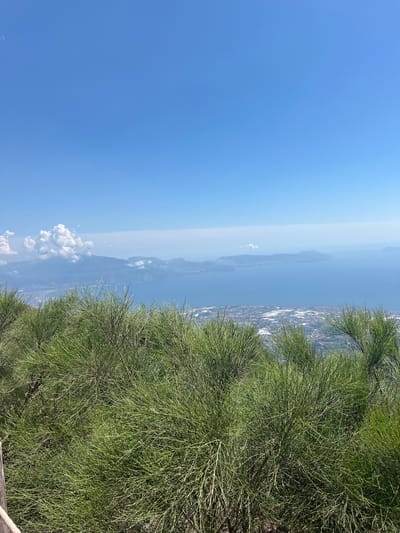 An outdoor, high-angle shot captures a panoramic view of the Bay of Naples from a vantage point above Ercolano, Italy. The foreground is dominated by dense, green foliage, likely from shrubs or small trees, with thin, needle-like leaves and numerous thin branches. The foliage is so thick that it partially obscures the view of the landscape below.

In the mid-ground, a sprawling city, identified as Ercolano, stretches along the coastline. Buildings of various sizes and colors are visible, with some areas appearing densely populated and others showing signs of development, including what appear to be greenhouses or covered agricultural areas.

Beyond the city, the vast expanse of the Bay of Naples is visible, a deep blue body of water meeting a hazy horizon. Islands, possibly Ischia or Capri, are dimly discernible in the distance, their shapes softened by atmospheric perspective. A line of mountains forms a backdrop to the scene, with some peaks shrouded in clouds. The sky above is a clear, bright blue, with a few scattered white clouds in the far distance. The overall impression is one of a sunny day with a clear view of the coastline and the bay.