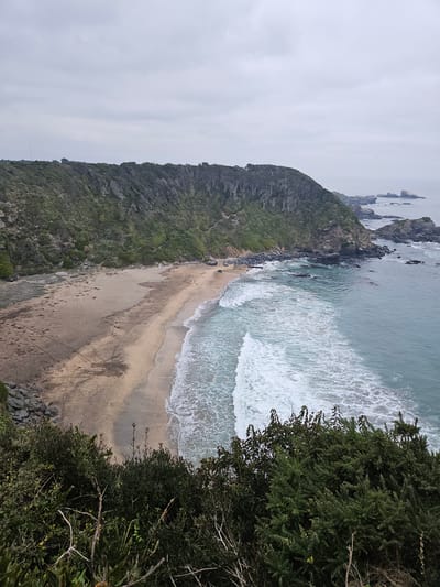 The image shows a view of Playa Ramuntcho in Hualpén, Chile. The camera appears to be positioned on a cliff overlooking the beach. To the left, a tree-covered hillside slopes down to the sandy beach. The beach stretches along the coastline, and waves are breaking on the shore. The water is turquoise, and foam is visible on the crests of the waves. Some rocky outcrops are visible in the sea near the top left of the image. The sky is overcast. Some people are walking on the beach. Dense vegetation is in the foreground on the right.