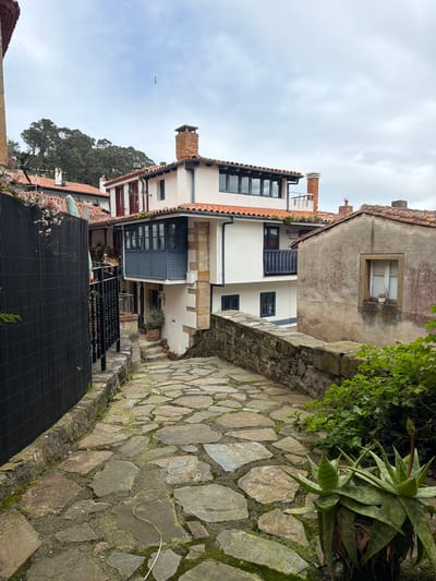 The image depicts an upward-sloping cobblestone path in Colunga, Spain, under an overcast sky. The path consists of irregular stone slabs with moss and dirt filling the interstices. To the left, a black slatted fence with flowering vines runs parallel to the path, backed by a stone wall section topped with a black wrought-iron railing. Further left, structures with red-tiled roofs and dark-red shutters are partially visible.

To the right, a low stone wall supports various green plants, including a prominent aloe vera plant with a developing stalk in the foreground. Beyond this wall, a weathered, light-brown stucco building with a single white-framed window on its facade has a small potted plant on the sill.

In the center of the image, a multi-story building with white walls and stone accents features a projecting blue-shuttered enclosed balcony or porch on its upper level and a smaller blue-railed balcony below it. Dark-framed windows are visible across its facade. The building is topped with a red-tiled roof and a prominent brick chimney.

In the upper background, additional red-tiled roofs are visible, along with a dense cluster of green trees on a hillside. A single bird is in flight in the upper center of the cloudy, light-grey sky. No individuals are present in the scene.