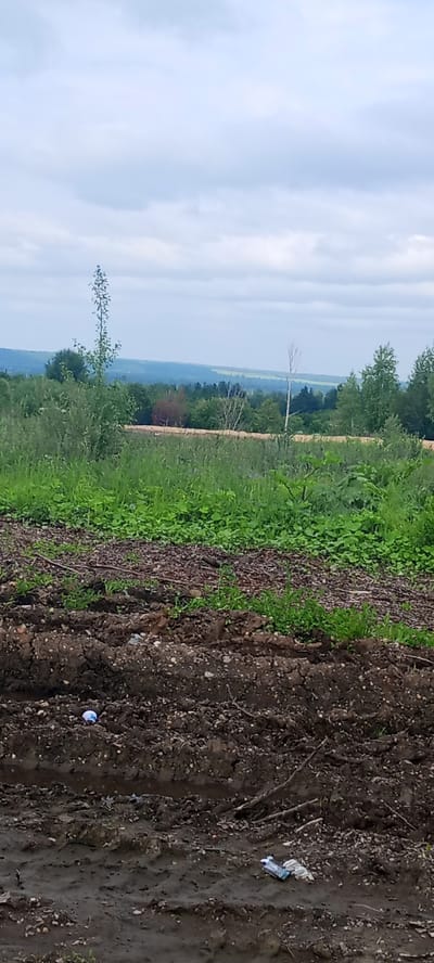 A low-angle, vertical medium shot captures a landscape scene. The foreground is dominated by dark, churned-up soil, indicating recent disturbance. Scattered within the soil are small pieces of debris, including a blue and white object resembling a bottle cap, and further to the right, a crumpled plastic bag and a bottle.
Behind the disturbed soil, a lush expanse of green vegetation stretches out, with tall grasses and leafy plants. This verdant area transitions into a more distant landscape of rolling hills covered in dense trees. The trees vary in color, with lush green interspersed with patches of reddish-brown foliage, suggesting a mix of deciduous and coniferous trees. In the far distance, the hills fade into a hazy horizon under a cloudy sky.
The sky itself is a pale, overcast blue, with soft, diffused light, suggesting a cloudy day. The overall mood is natural and somewhat somber, with the presence of litter in the foreground detracting from the natural beauty of the scene. No people are visible, and no text is present. The location is Kudymkar, Russia.