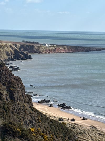 The image depicts a coastal scene in Montrose, United Kingdom. A body of water (likely the North Sea) dominates the view, with varying shades of grey suggesting different depths or conditions. To the right, a sandy beach is visible, with small waves breaking along the shoreline. Dark rocks punctuate the beach and the water's edge. A cliff face, covered in vegetation (including some yellow flowering plants), rises steeply to the right of the beach. On the opposite side of the water, a similar cliff is seen, topped with a patch of red soil or rock. A small, light-colored building or structure is situated on top of this cliff. The sky, visible in the upper left corner, is a light blue with some cloud cover. Two people can be seen on the beach.