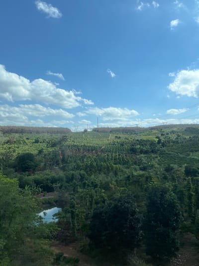A landscape featuring a blue sky dotted with fluffy white clouds. The right side displays a verdant, hilly terrain covered in dense vegetation with glimpses of a small, reflective pond. Power lines cut across the scene, supported by utility poles. The landscape transitions from cultivated fields to wilder, forested areas. The view is taken from a slight distance, capturing the breadth of the natural environment.