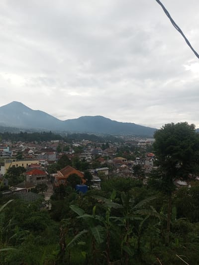 The image depicts an elevated panoramic view of a densely developed urban area, identified as Bhupalpally, India, situated within a valley or basin, framed by hills and mountains under a heavily overcast sky. The foreground features dense, dark green tropical vegetation, including large-leafed plants and shrubs, with a dark electrical cable or wire extending diagonally from the top right towards the center. The midground encompasses a sprawling settlement characterized by numerous buildings with diverse roof colors, predominantly red, orange, and gray, indicating a mix of residential and commercial structures. The buildings vary in height and density, interspersed with scattered trees. No individuals, specific actions, or interactions are discernible. The background is dominated by a range of hills or mountains, appearing dark blue-green due to distance and atmospheric conditions, stretching across the horizon. The sky is uniformly cloudy with light gray and white tones, suggesting an overcast day.