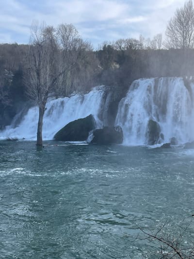 The image displays the Kravica Waterfalls, located near Zvirići, Bosnia and Herzegovina. Multiple wide cascades of white water descend over tiered rock formations into a broad, turbulent river. The river's surface is a dark greenish-blue, exhibiting ripples and some white foam, especially closer to the base of the falls. A large, bare-branched deciduous tree trunk stands partially submerged in the river on the left side, positioned directly in front of a waterfall section. Several large, dark, moss-covered rocks are visible within and at the base of the waterfalls. The surrounding land above the falls is densely covered with leafless deciduous trees and some evergreen vegetation. A faint horizontal line, possibly a wire or rope, with small orange buoyant objects attached, is discernible just above the water level at the base of the falls. The scene is enveloped in a light mist emanating from the powerful water flow. The sky above is partly cloudy with areas of pale blue and white clouds. No human figures or discernible man-made structures other than the potential cable/buoy system are visible.