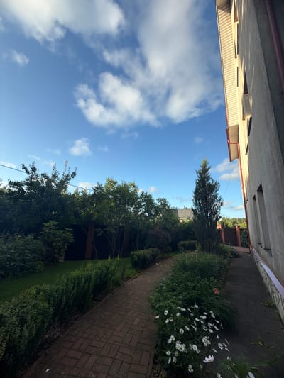 The image captures a sunny outdoor scene with a bright blue sky dotted with white clouds. In the foreground, a brick pathway winds through a lush garden filled with various green bushes and a patch of white daisies. To the right, a light-colored building with visible window frames and a red gutter runs along the side of the frame. The building appears to be residential or part of a larger complex, casting shadows on the pathway. In the background, dense trees form a natural barrier, and a tall, thin evergreen tree stands prominently in the garden. A cell tower is visible in the distance above the trees. The overall setting suggests a well-maintained residential area or a park, likely located in Yukki, Russia, given the context provided. There are no people or animals present in the image.