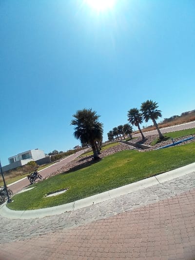The image displays an exterior daytime scene under a clear, bright blue sky with the sun prominently positioned in the upper left quadrant. The location is a developed area, consistent with a planned community in La Venta, Mexico.
The foreground is comprised of a reddish-brown paved surface constructed from interlocking pavers. This pavement is bordered by a white concrete curb that outlines a curvilinear median of manicured green grass. Beyond the grass, a curved pathway or road, paved with reddish-brown irregular stones, extends into the mid-ground.
A dark-colored motorcycle is parked on the left side of this pathway. Along the central median, a series of palm trees are systematically planted within landscaped sections featuring both green grass and dark reddish-brown ground cover, receding into the background. In the far background on the left, a modern white building with flat rooflines is visible, suggesting a residential structure. No individuals or active subjects are present within the frame.