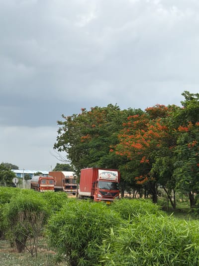 The image shows a line of trucks on a road with lush green foliage in the foreground and trees with red flowers in the background. The sky is overcast and appears to be cloudy. In the distance, a light blue and white building can be seen. The trucks are of various colors, including red and orange, and some appear to be carrying cargo. One truck has text in a language that appears to be Hindi. The scene is likely in a semi-rural or industrial area.