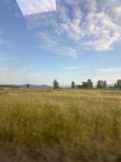 The image depicts a landscape scene taken from a moving vehicle, likely during daylight hours. The right side of the frame is dominated by a field of dry, yellow-green grass, blurred by motion, suggesting a breezy day or a fast shutter speed. The grass appears to be tall and somewhat wind-swept, creating a textured, impressionistic effect.
The left side of the image transitions into a clear blue sky filled with scattered white clouds. These clouds are varied in texture, with some appearing wispy and thin, while others are more substantial and puffy.
In the mid-ground, a line of trees is visible along the horizon, silhouetted against the sky. These trees are green and appear to be a mix of deciduous and possibly evergreen varieties. Beyond the trees, a series of hazy, blue-gray mountains or hills form the distant backdrop, fading into the atmosphere.
A reflective surface, possibly a window of the vehicle, is visible in the far left of the image. This reflection shows a distorted view of the sky and some indistinct shapes that could be part of the vehicle's interior. The overall impression is one of a journey through a rural or natural landscape, characterized by open fields, a vast sky, and distant mountains. The time of day is likely late morning or afternoon, given the brightness of the sky. No people or specific objects are clearly discernible. The location is contextually identified as Novonikolaevka, Russia.