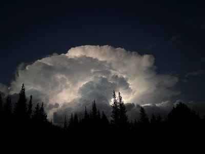 A silhouetted line of evergreen trees stands against a dramatic sky. The dark, dense forest canopy is illuminated by a large, bright cloud formation that dominates the upper portion of the image. This cloud is brightly lit from behind, suggesting it is either catching the last rays of sunset or is illuminated by an unseen light source. The sky is a deep, dark blue, with hints of lighter clouds around the periphery of the main cloud mass. The overall impression is one of nature's grandeur, with the stark contrast between the dark foreground and the luminous sky creating a powerful visual. This scene is located in Eldora, United States.
