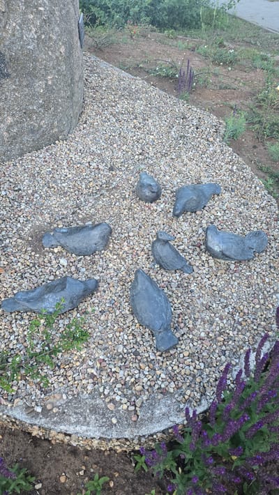 This is a high-angle, full shot of an outdoor art installation in Garwolin, Poland. The installation features several dark gray, abstract stone sculptures of birds arranged in a circular pattern on a bed of small, light-colored gravel. The sculptures vary in size and pose, with some appearing to be perched and others in flight. Behind the gravel area, a large, rough-textured gray boulder stands to the left, partially obscuring the background. The background consists of dry, sandy soil with sparse vegetation, including small green plants and clusters of purple flowers. The scene suggests a decorative element in a public space or garden.