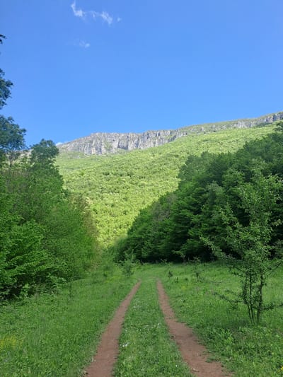 The image depicts a landscape in Chelopek, Bulgaria, featuring a mountainside covered with green vegetation against a clear blue sky. A dirt path winds through the grassy terrain alongside the forest edge. The mountainside shows rocky areas interspersed with greenery. There are no people visible in the image.
