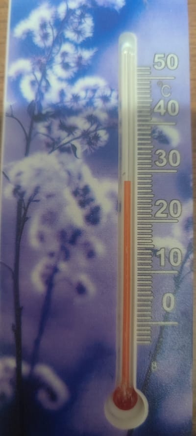 The image shows a close-up of a thermometer with a floral background. The thermometer is placed vertically, displaying a temperature reading. The scale ranges from 0 to 50 degrees Celsius, indicated by numbered markings and smaller tick marks. A red liquid column is visible within the thermometer, indicating the current temperature. The background features a blurred image of white and purple flowers against a blue sky. The thermometer appears to be a decorative indoor or outdoor thermometer, possibly located in Svitlovodsk, Ukraine, given the prompt's context. There are no people or actions depicted in the image.