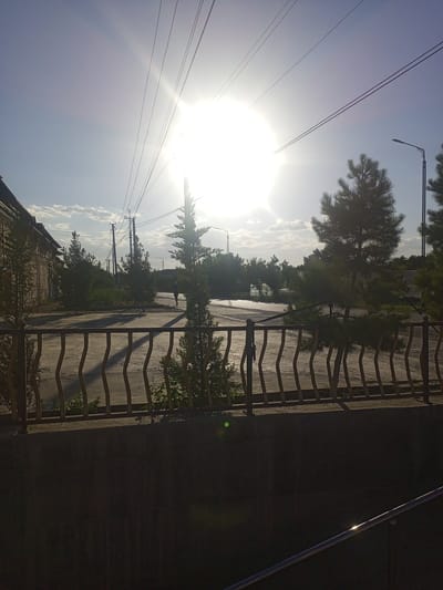 The image depicts a street scene in Shar-Bakr, Uzbekistan, bathed in bright sunlight. The sun, positioned high in the sky, is a dominant element, casting strong light and shadows. In the foreground, a dark, solid wall is visible, with a metal railing on top featuring a wavy design. Beyond the railing, a paved area, likely a street or pathway, is seen.

Several evergreen trees of varying sizes are scattered throughout the scene. On the left, a brick building with dark window frames is partially visible. Power lines are strung across the sky, supported by utility poles. A street lamp with an ornate design stands on the right side of the frame. In the middle ground, a person, appearing as a silhouette due to the backlighting, is walking on the paved area. The sky is a light blue, with a few scattered clouds. The overall impression is a sunny day in an urban or suburban environment.