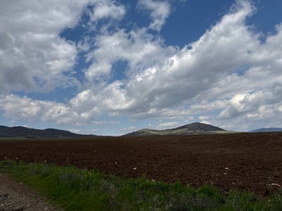 The image depicts a cultivated field in Sarnevets, Bulgaria, under a partly cloudy sky. The foreground shows dark brown, freshly tilled soil. A narrow strip of green vegetation runs along the lower edge of the field, adjacent to a dirt road. In the distance are rolling hills covered with sparse vegetation. A structure, possibly a communications tower, is visible atop the highest hill. The sky is a mix of blue patches and cumulus clouds. No people or animals are visible.