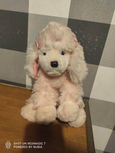 A light pink, fluffy stuffed poodle is sitting on a wooden surface. The poodle has a black nose and black eyes, and is adorned with small pink bows on its head. Behind the poodle is a wall with a black and white checkered pattern. The wooden surface appears to be a table or shelf. The image includes a watermark in the bottom left corner that reads "SHOT ON REDMAGIC 7 POWERED BY NUBIA". There are no people or visible signs of activity in the image. The location of Dmosin, Poland is not discernible from the visual information provided.