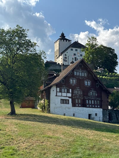 The image shows a multi-story building with a dark brown roof and white and dark brown walls, featuring ornate white decorative elements on the upper dark brown section. The building is situated on a grassy hillside. In the background, a larger, pale stone building with a dark tower and a peaked roof rises up the hill, partially obscured by trees. There are also terraced vineyards visible further up the slope. A large tree with lush green foliage stands on the left side of the frame in the foreground, casting a shadow on the grass. The sky above is blue with scattered white clouds. The scene appears to be set in a rural or semi-rural area. The building in the foreground is a traditional Swiss-style house with decorative woodwork. The castle in the background is a historical structure. The location is Buchs (SG), Switzerland, specifically the residential area below the castle.