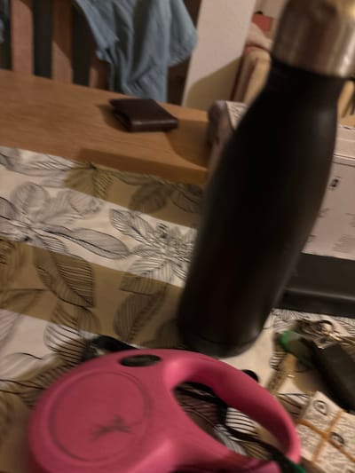 This is a close-up, blurry, eye-level shot of several objects on a patterned surface. The most prominent object is a black water bottle with a silver lid, positioned diagonally across the frame. To the right of the water bottle is a bright pink dog leash reel. Partially visible behind the water bottle is a dark brown wallet, placed on a light-colored wooden surface. The patterned surface beneath the objects features a repeating motif of stylized leaves in black and white, set against stripes of beige and white. A blue fabric is visible in the lower left corner of the image. The lighting suggests it is daytime, and there are no clear indicators of weather or a specific outdoor location. The overall impression is one of everyday items placed together on a table or bed.