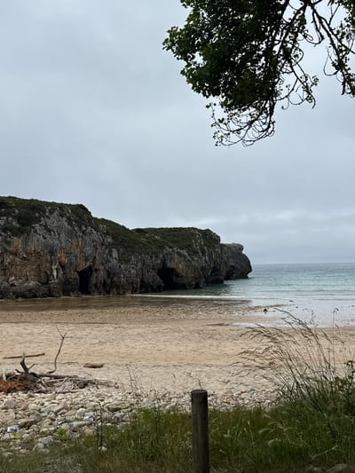 The image depicts a natural coastal scene, likely on a cloudy day, given the overcast sky. The foreground features a beach composed of sand and numerous light-colored pebbles, with dry grass and branches scattered on the shore. A dark wooden post is partially visible on the right side of the frame, suggesting a man-made element in the natural environment.

Dominating the mid-ground is a rugged, dark rock formation that rises steeply from the beach. This cliff face is textured and appears to have several dark openings, possibly small caves or crevices. Green vegetation clings to parts of the rock.

In the background, the sea stretches out, its surface appearing choppy with small waves. The water's color is a muted blue-green, reflecting the overcast sky. On the far left, the dark branches and green leaves of a tree extend into the frame, partially obscuring the sky.

The overall impression is one of a somewhat wild and untamed coastal landscape. There are no people or obvious animals visible. The time of day is not definitively indicated, but the soft light suggests it is not midday. The weather appears to be cloudy and potentially cool, contributing to a subdued atmosphere. The location context of Llanes, Spain, aligns with the rocky coastline and pebbly beaches often found in such areas. No visible text is present in the image.
