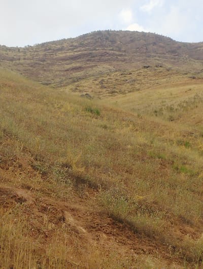 The image depicts a dry, arid hillside with sparse vegetation under a hazy sky. The foreground is dominated by dry, straw-colored grasses and patches of exposed brown soil. A winding dirt track is visible in the lower left portion of the image, suggesting a path or erosion. The midground continues with more dry grasses and some low-lying shrubs.
In the background, a rocky, barren hill rises. The hill's face shows layers of rock and scree, with very little plant life clinging to its slopes. The overall impression is one of a hot, dry environment, possibly during a dry season. The sky is overcast with hints of blue and white clouds, suggesting diffused daylight rather than direct sunlight. There are no people or man-made objects visible in the scene, focusing solely on the natural landscape. The location is identified as Chaknak, Uzbekistan. The scene evokes a sense of stillness and desolation due to the lack of dynamic activity and the arid nature of the environment. There is no visible text in the image.