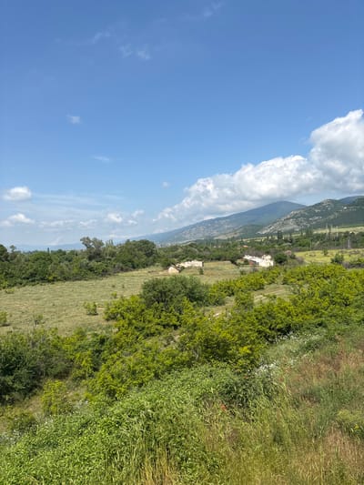 This image presents a vibrant, sunlit landscape, likely depicting a rural or mountainous area near Binkos, Bulgaria. The perspective captures a wide expanse, ranging from the sky to distant mountains and a lush foreground.
The upper portion of the scene is dominated by a clear, bright blue sky. On the left side, large, billowy white cumulus clouds gather along the horizon line, complementing the lighter, more scattered clouds across the rest of the sky.
In the mid-ground, a prominent range of green, tree-covered mountains stretches across the landscape, receding into a soft haze. Below these mountains, a valley unfolds, characterized by extensive green fields and scattered clusters of trees and dense foliage. Several light-colored buildings, possibly traditional structures or ruins, are visible nestled amongst the greenery in the valley, suggesting a blend of natural and historical elements.
The foreground is rich with dense, untamed vegetation. Tall green grasses create a textural carpet, interspersed with various bushes and flowering plants. Notably, there are patches of small white flowers and several distinct red poppies, adding bright accents to the verdant expanse.
The image conveys a sense of natural tranquility and untouched beauty under bright, clear daylight, likely late morning or early afternoon. No human activity or identifiable individuals are present. There is no visible text within the media.