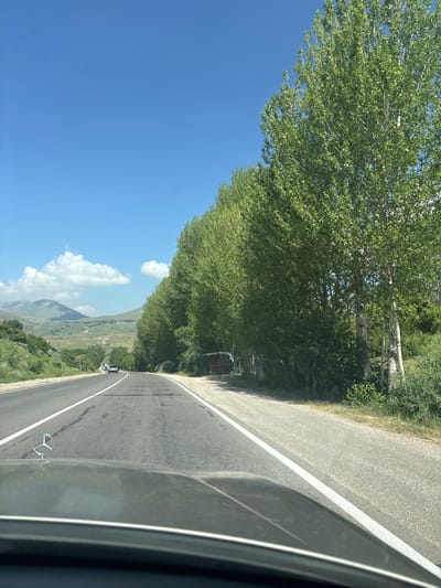 This is a photograph taken from the perspective of a car driving on a road, likely in Zangakatun, Armenia, on a clear, sunny day. The road is paved and has white lane markings. To the right of the road is a dense row of tall, leafy green trees, with some interspersed with white bark. The trees are casting shadows on the roadside. Beyond the trees, there is a glimpse of greenery and possibly some structures. On the left side of the road, the landscape slopes upwards, with more greenery and hills in the distance. There are a few cars visible on the road ahead, and the sky is a bright blue with a few white clouds. The hood of the car in the foreground is visible, with the Mercedes-Benz logo clearly displayed. There are no people clearly visible in the image, though a small covered seating area is visible under the trees on the right side of the road, with what appears to be a few red chairs, suggesting a potential rest stop or roadside vendor. The overall impression is of a scenic drive through a rural or semi-rural area with a prominent tree-lined road.