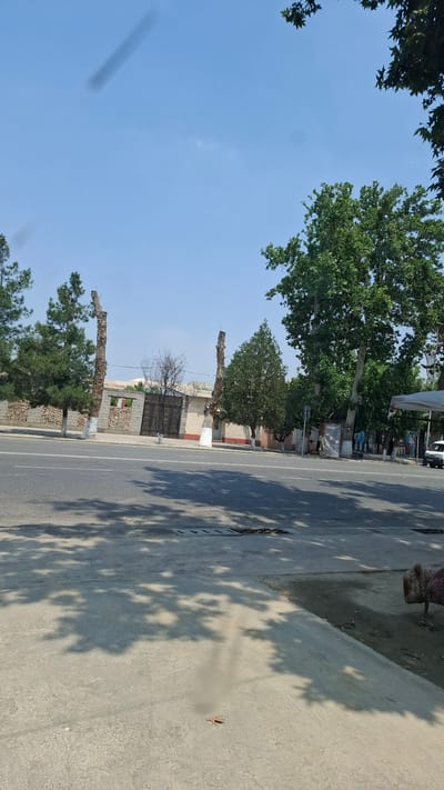 The image depicts a street scene in Kuvasay, Uzbekistan. The perspective is low, as if taken from ground level, looking up at the sky and the surrounding environment. Lush green trees are a prominent feature, with their branches and leaves framing the upper portion of the image and casting dappled shadows on the ground.

The scene includes a paved road with white lane markings, suggesting it's a public thoroughfare. Adjacent to the road is a concrete sidewalk or pathway, also covered in the shadows of trees. In the background, buildings with light-colored walls and dark-colored gates can be seen. Two trees have been pruned significantly, leaving behind bare trunks with a few remaining branches. One of these pruned trees is situated near a building with a stone base and a dark metal gate. Another, more fully leaved tree, stands further down the road.

The sky is a clear, bright blue, indicating a sunny day. The presence of distinct shadows suggests it is daytime, likely late morning or early afternoon, given the angle of the sun. There are no people visible in the frame, and no specific activity is taking place other than what appears to be a quiet street. The overall impression is one of a warm, sunny day in a semi-urban or suburban area with abundant greenery. The location cues, such as the architecture and the style of the street, are consistent with a Central Asian setting. No visible text is present in the image.
