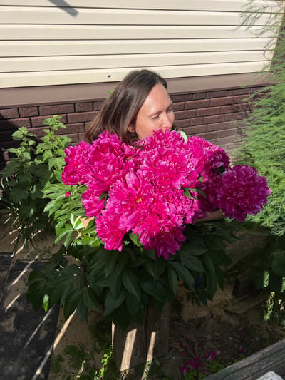 A medium shot captures a woman holding a large bouquet of vibrant pink peonies in a garden setting. She is positioned slightly to the left of center, her face turned towards the flowers as she appears to be smelling them. Her dark brown hair is loose, and she is wearing a light-colored garment. The peonies dominate the foreground, their lush petals a striking contrast to the muted tones of the background. Behind the woman is a wall constructed of horizontal beige siding above a band of reddish-brown brickwork. To the left of the woman, a green leafy plant grows near the brick wall. To the right, the feathery green foliage of a conifer tree or shrub is visible. The ground in front of the woman is covered with dark soil, with scattered fallen petals from the peonies. Wooden elements, possibly part of a garden bed or structure, are present in the lower foreground and mid-ground. Sunlight casts diagonal shadows across the ground, indicating a sunny day. The scene is located in the city of Pigozino, Russia.