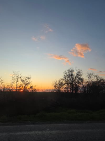 The image captures a sunset scene in Koilovtsi, Bulgaria. The sky transitions from blue to orange, with pink-tinged clouds in the upper left. Silhouetted trees form the midground, with the sun setting behind them. A strip of green vegetation and a gray pavement edge are on the right, framing the view. There are no people in the image.