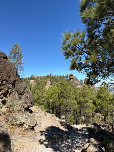 The image depicts a rugged, rocky landscape in Tejeda, Spain, under a clear blue sky. In the foreground, a path made of large, irregular stones winds its way through the scene, partially shaded by trees. To the left, a large, dark brown rock formation dominates the frame, with sparse, dry vegetation clinging to its surface. Further back, a dense forest of green pine trees covers the rolling hills. In the distance, several distinctive rock formations rise above the treeline, adding to the dramatic topography of the area. The overall impression is one of a remote, natural environment, likely a hiking trail. There are no people visible in the image.
