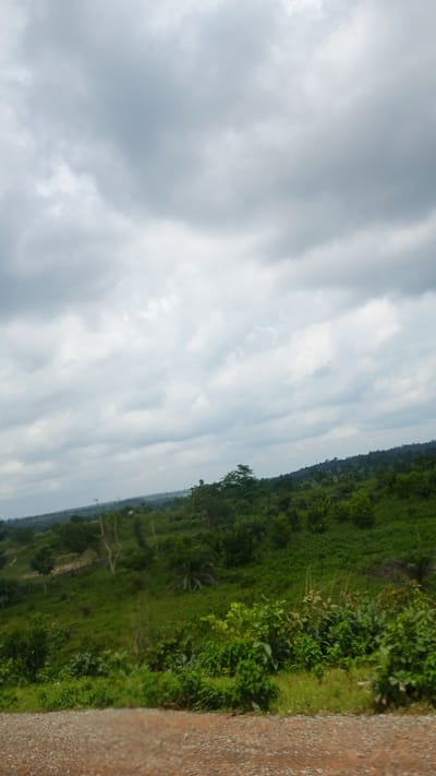A wide-angle, slightly tilted photograph captures a cloudy, overcast sky over a lush, green, hilly landscape. The foreground is dominated by a textured, gravelly dirt path in a reddish-brown hue. Beyond the path, the terrain slopes upward, covered in dense, verdant vegetation. Scattered trees with sparse foliage and lighter bark are visible on the slopes, interspersed with the darker green of bushes and smaller trees. In the distance, the rolling hills continue, becoming less distinct against the muted sky. The scene depicts a natural, undeveloped environment, likely in the city of Mandara, Nigeria, given the context. There are no people or visible structures in the frame. The overall atmosphere is natural and serene, with the cloudy sky suggesting a potentially cool or humid climate.