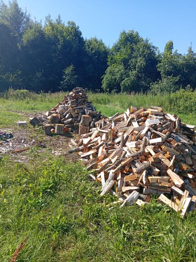 The image depicts two large piles of chopped firewood in a grassy field on a sunny day. The firewood is primarily composed of logs of varying sizes and thicknesses, some with bark still attached. In the background, a dense line of green trees forms a natural backdrop, with a clear blue sky above. The foreground is dominated by green grass and some scattered debris on the ground, suggesting an outdoor, possibly rural or semi-rural, setting. There are no people visible in the image. The location is identified as Светласельскі сельскі Савет, Belarus.