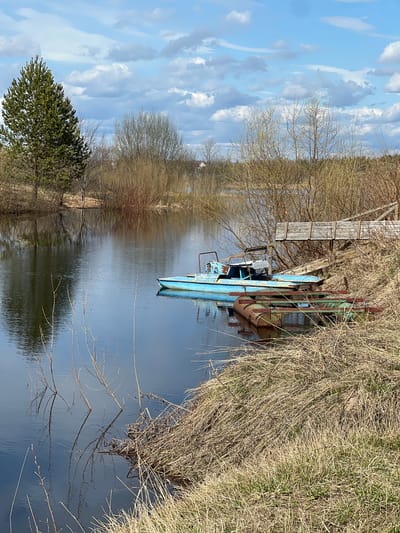 A partially submerged, blue and green, dilapidated boat rests beside a wooden dock, near overgrown, dry grass at the edge of a body of water. The water reflects the surrounding vegetation and a cloudy sky. A pine tree is visible on the left side of the image, with other bare trees in the background. The location is Чернышово, Russia.