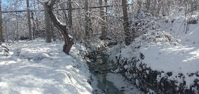 A narrow, snow-covered stream flows through a winter landscape. The banks are lined with snow-laden trees and shrubs. Sunlight filters through the branches, creating shadows on the snow-covered ground. The water reflects the sky, adding depth to the scene. A fallen log or branch crosses the stream in the distance. The overall impression is one of tranquility and cold.