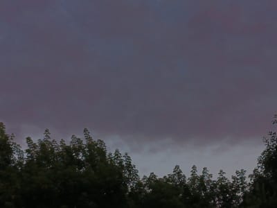 The image shows a view of the sky above a line of trees. The sky is filled with dark, heavy clouds, suggesting overcast or stormy weather. The trees are dark green and appear to be densely packed, with their tops silhouetted against the cloudy sky. The scene is dark and somber, with little detail visible in the foliage. The overall impression is one of a gloomy or foreboding atmosphere. The location is Shestunikha, Russia.