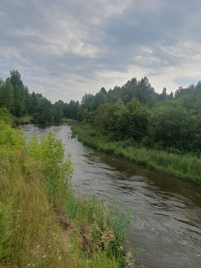 The image depicts a wide, dark-colored river flowing through a lush, green forest. The riverbanks are densely covered with trees and various types of vegetation, including tall grasses and smaller bushes. The water appears to have a gentle current, with small ripples on its surface. The sky above is overcast with dramatic, heavy clouds, suggesting a gloomy or impending weather condition. The scene is natural and appears to be located in a rural or wilderness area. There are no people or man-made structures visible in the image, apart from the implied presence of a path or bank along the left side of the river. This scene is representative of the natural landscape found in and around the village of Mukhametovo, Russia, characterized by its rivers and dense forests.