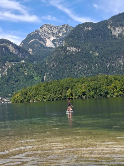 The image shows a person stand-up paddleboarding on a calm lake in Obertraun, Austria. The paddleboarder, wearing dark clothing, is positioned in the middle of the lake, facing away from the camera. The lake's surface is clear, with visible submerged rocks and vegetation in the foreground. In the background, a dense green forest covers the lower slopes of imposing mountains, which are partially bare on their upper reaches, showing rocky textures and some lighter patches. A few buildings are visible on the far left shore. The sky is blue with scattered white clouds.