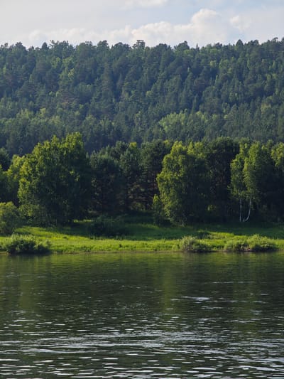 The image shows a wide, dark green river with a gentle ripple pattern in the foreground. The river is bordered by a lush, green embankment covered in grass and scattered bushes. Behind the embankment, a dense forest stretches across a hillside, with trees of varying shades of green, ranging from dark coniferous trees to lighter deciduous trees. The forest extends to the top of the frame, where a few wispy clouds are visible against a pale blue sky. The scene is a natural landscape, devoid of any human presence or man-made structures, suggesting a serene, unpopulated environment. The location is identified as the city of Predivinsk, Russia.