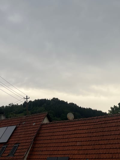 The image depicts a rooftop view in Balingen, Germany, under an overcast sky. In the foreground, a red-tiled roof dominates the lower portion of the frame, featuring several skylights and two solar panels. Further back, a dense, dark green forest covers a hillside. A utility pole with multiple wires extends diagonally across the scene, and a satellite dish is visible on the rooftop. The overall atmosphere is subdued due to the cloudy weather.