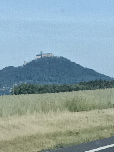 The image shows a distant view of Bezděz Castle, a medieval fortress located in the Central Bohemian Region of the Czech Republic, near the town of Bělá pod Bezdězem. The castle is situated atop a wooded hill, silhouetted against a pale blue sky. In the foreground, a field of tall, dry grass stretches across the scene, with a dark road and a white line marking the edge of the frame. The overall impression is one of a rural, historical landscape.